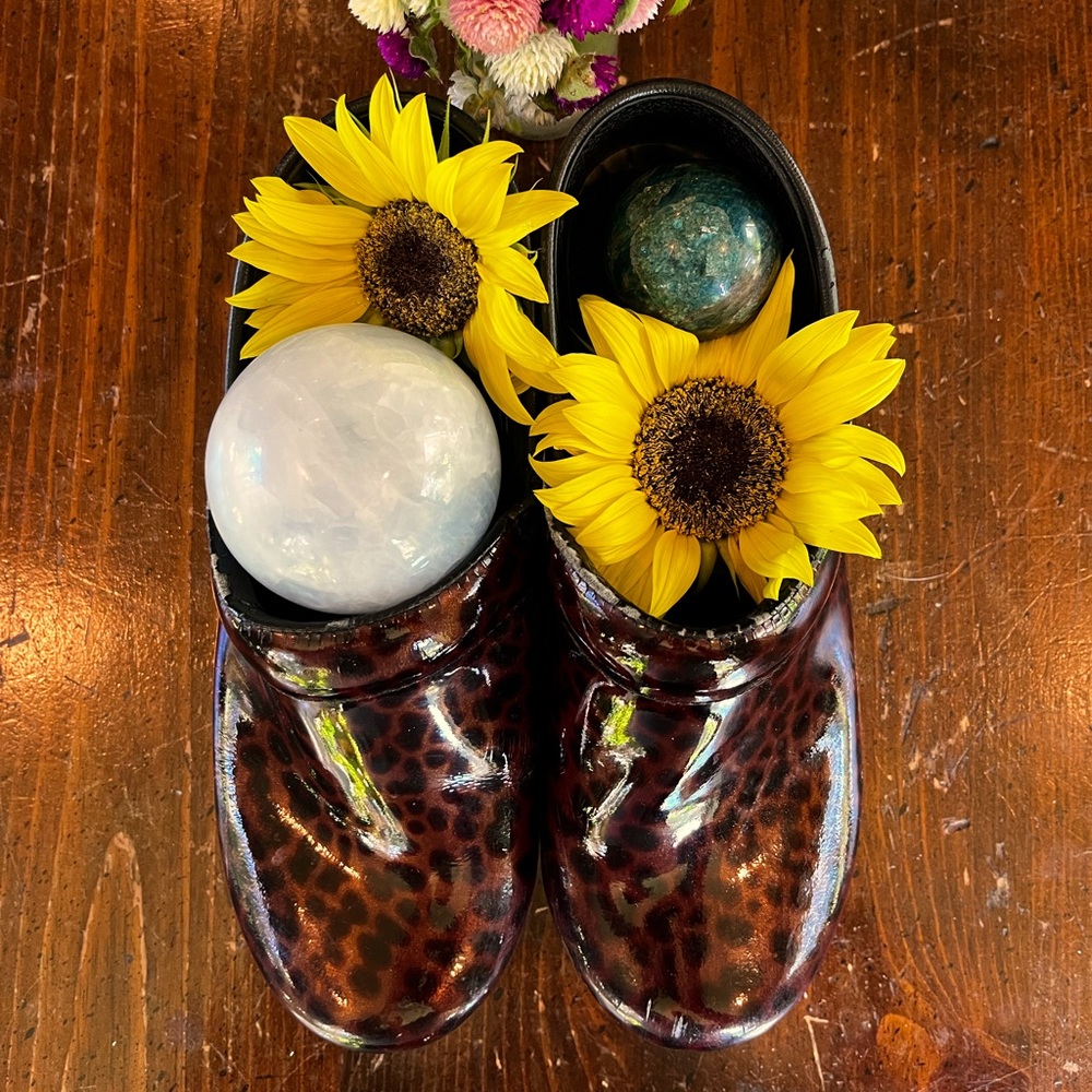 Dansko Clog